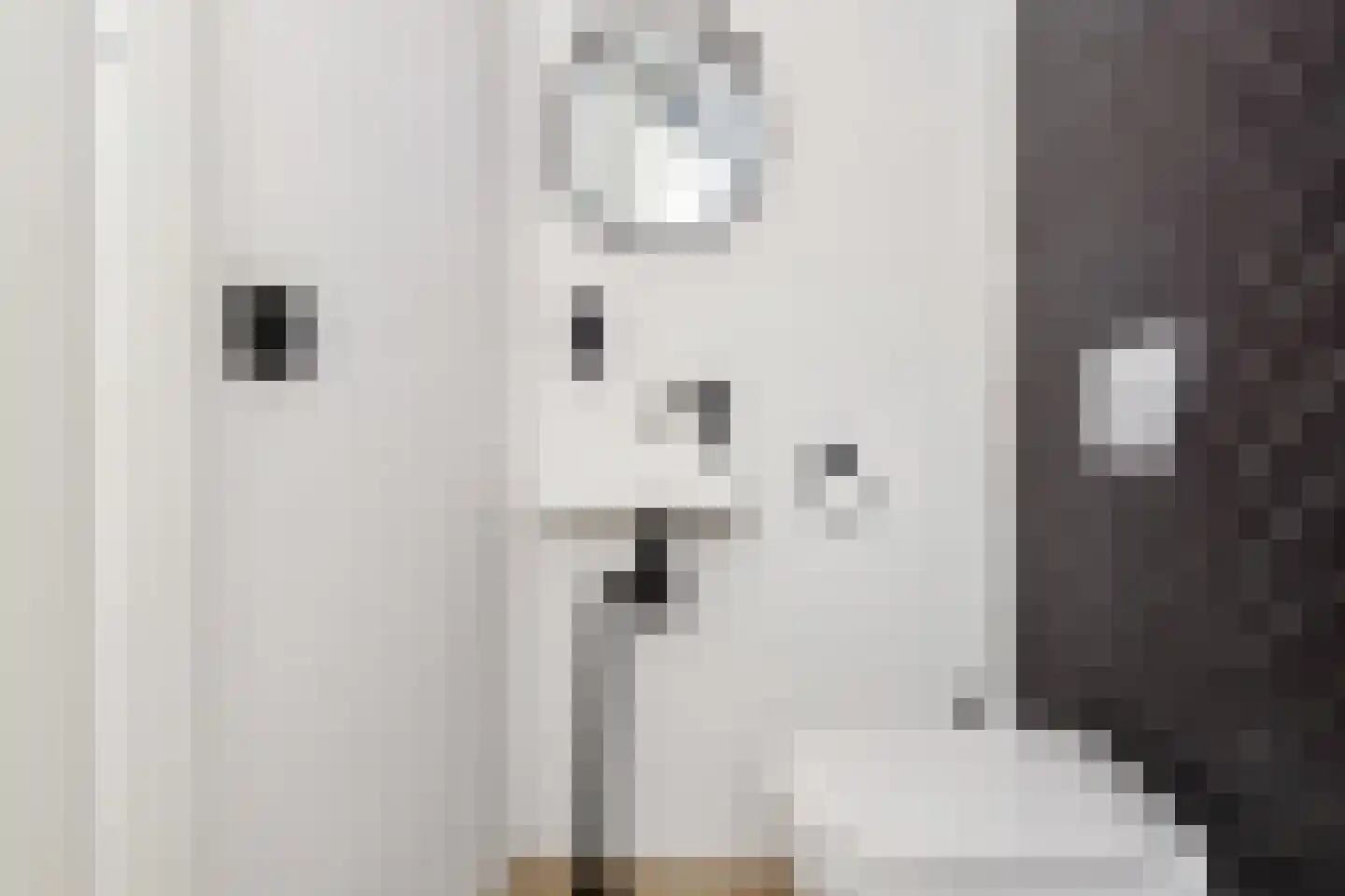 Zilvermeeuwlaan 15 Den Haag thumbnail 22