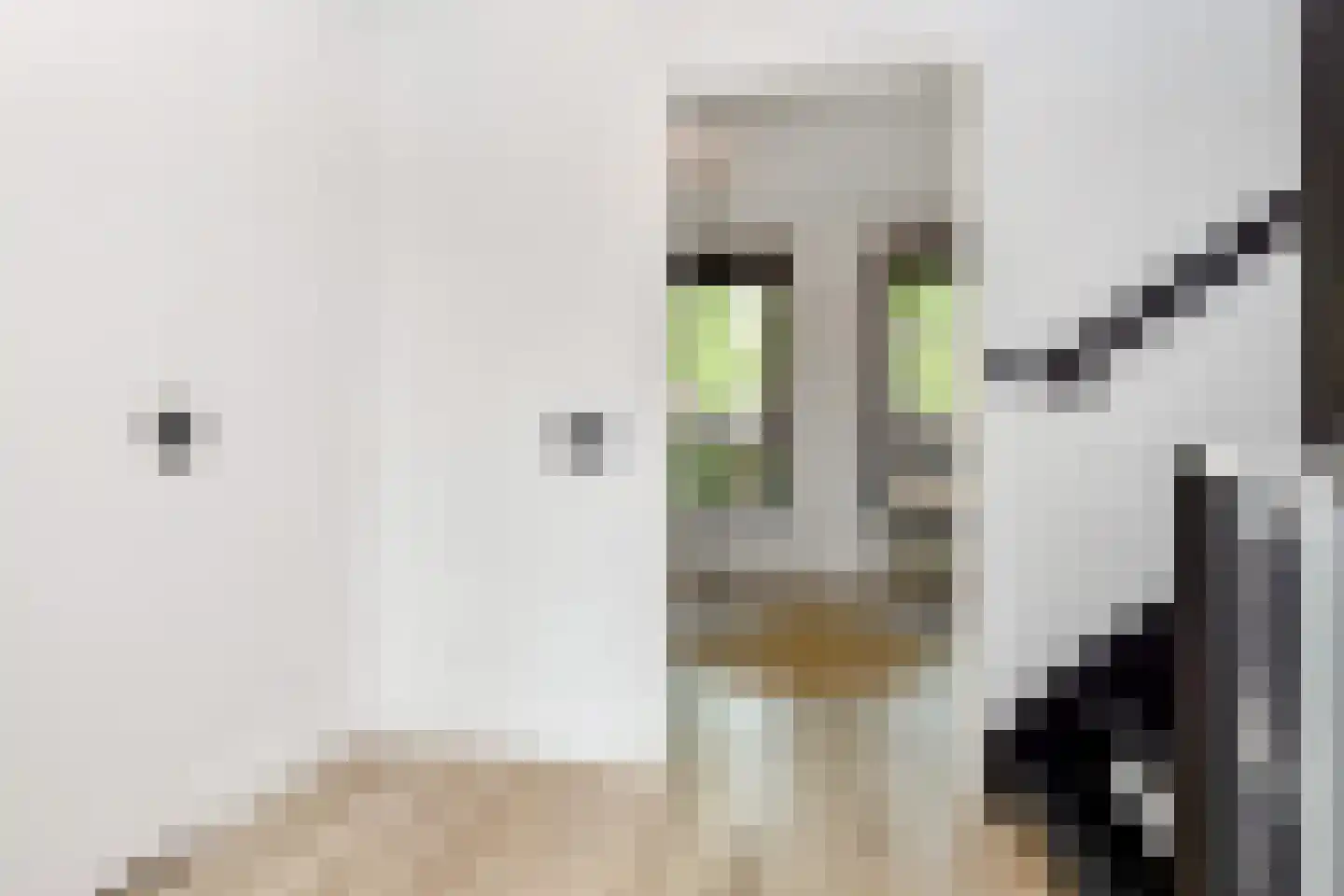 Zilvermeeuwlaan 15 Den Haag thumbnail 23