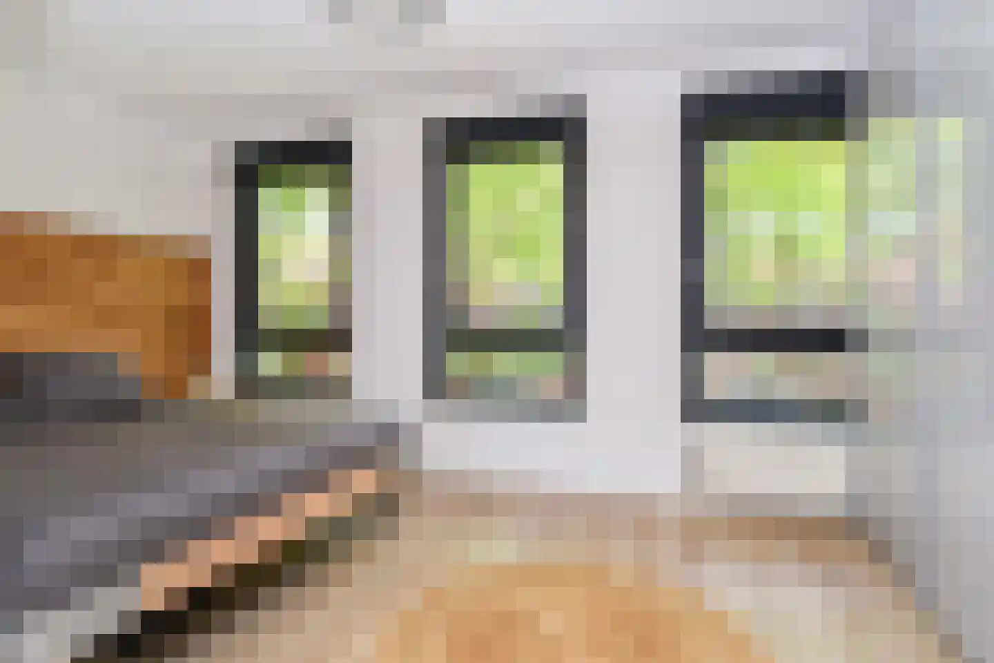 Zilvermeeuwlaan 15 Den Haag thumbnail 24