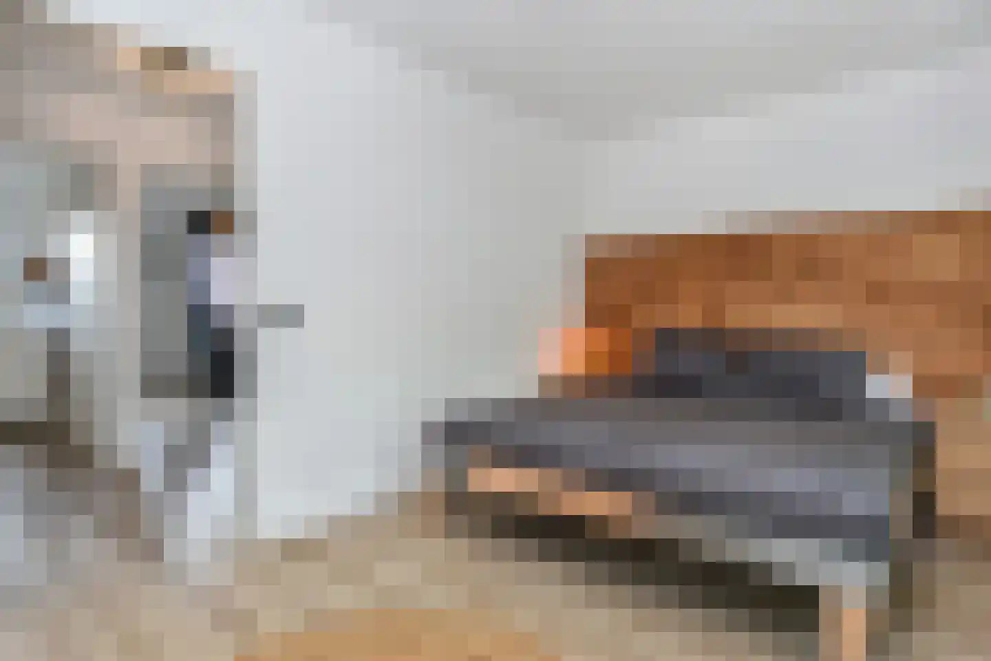 Zilvermeeuwlaan 15 Den Haag thumbnail 26