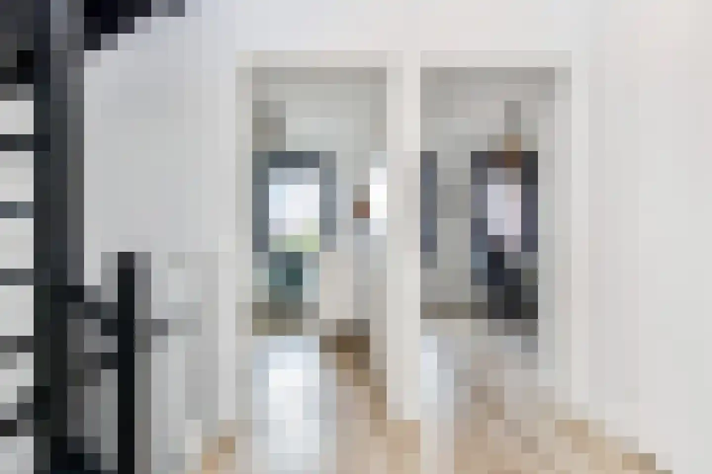 Zilvermeeuwlaan 15 Den Haag thumbnail 27