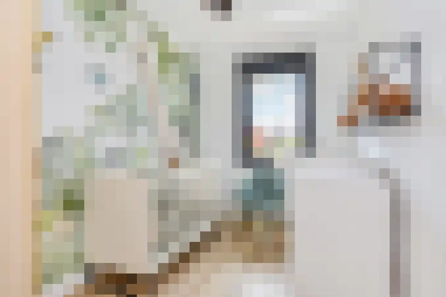 Zilvermeeuwlaan 15 Den Haag thumbnail 28