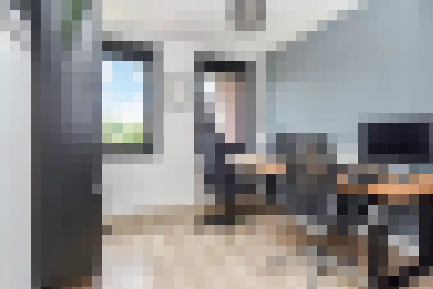 Zilvermeeuwlaan 15 Den Haag thumbnail 29