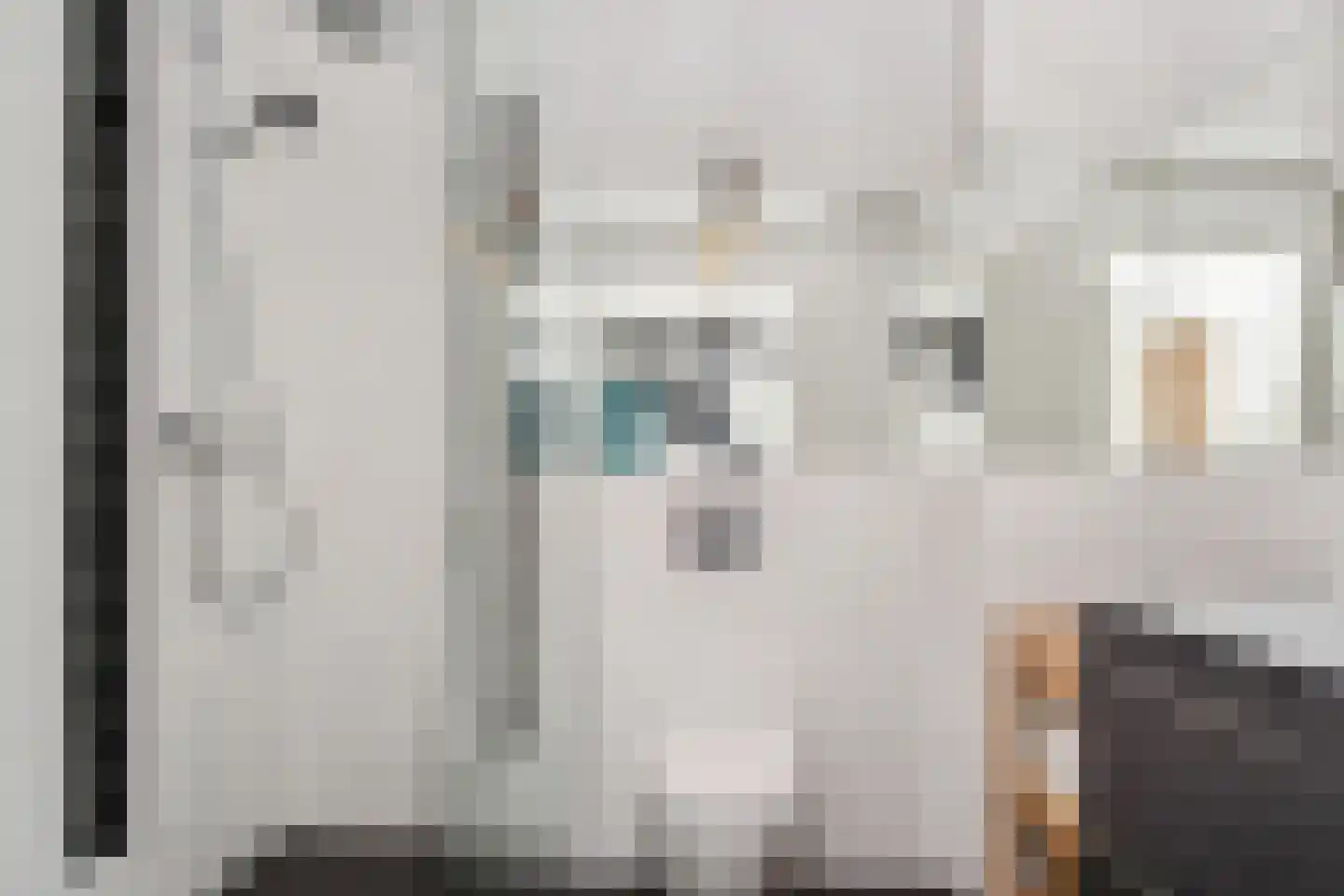 Zilvermeeuwlaan 15 Den Haag thumbnail 30