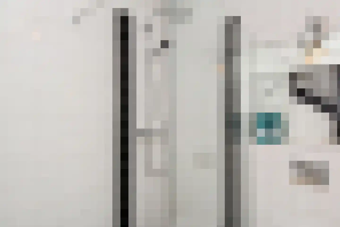 Zilvermeeuwlaan 15 Den Haag thumbnail 31