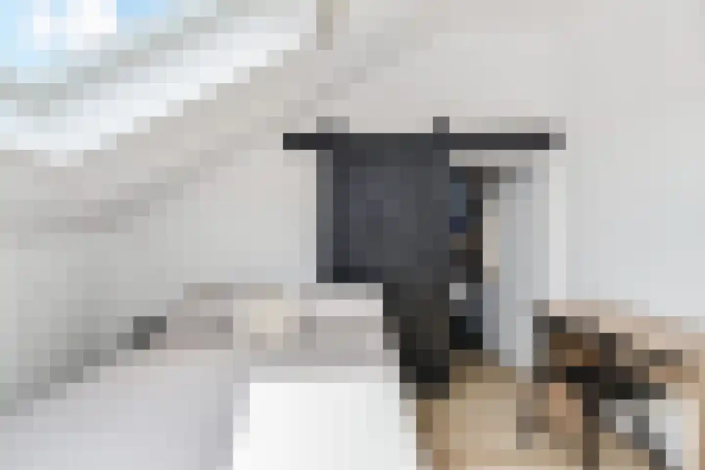 Zilvermeeuwlaan 15 Den Haag thumbnail 35
