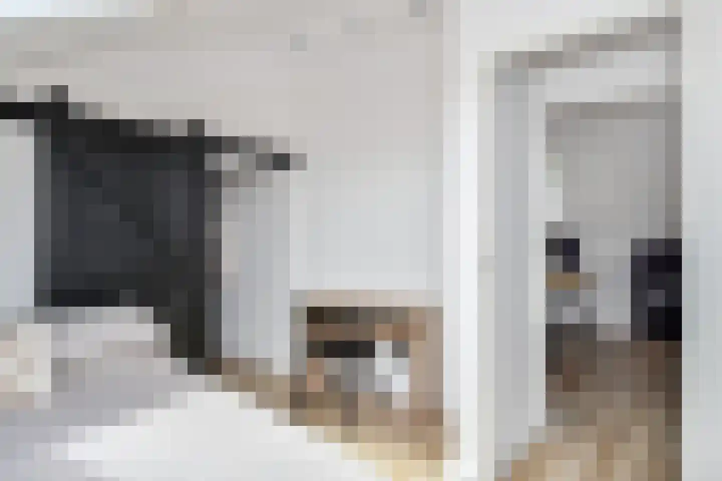 Zilvermeeuwlaan 15 Den Haag thumbnail 36