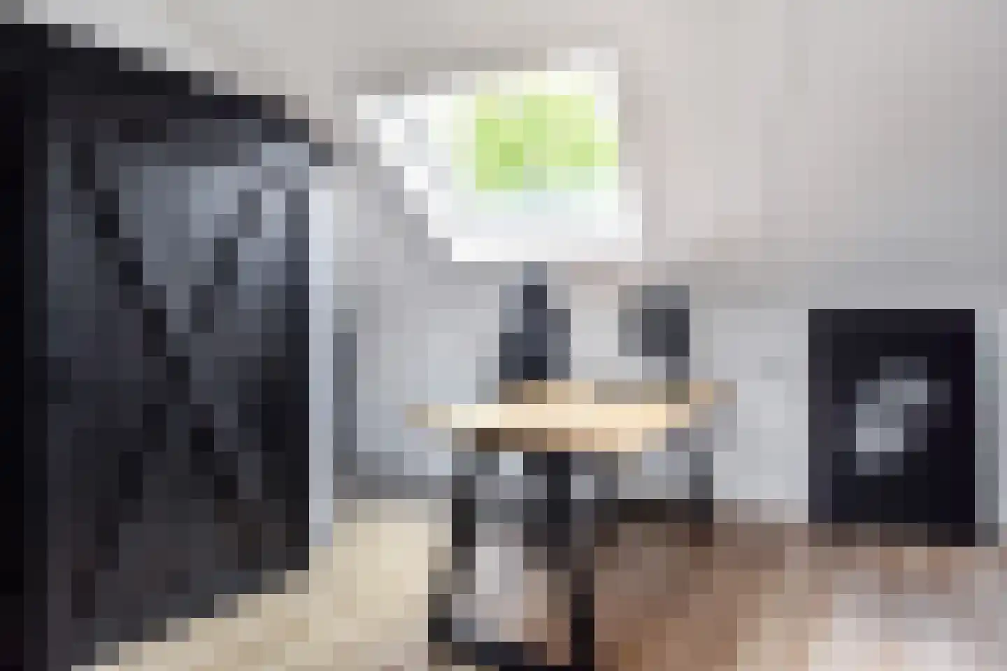 Zilvermeeuwlaan 15 Den Haag thumbnail 37