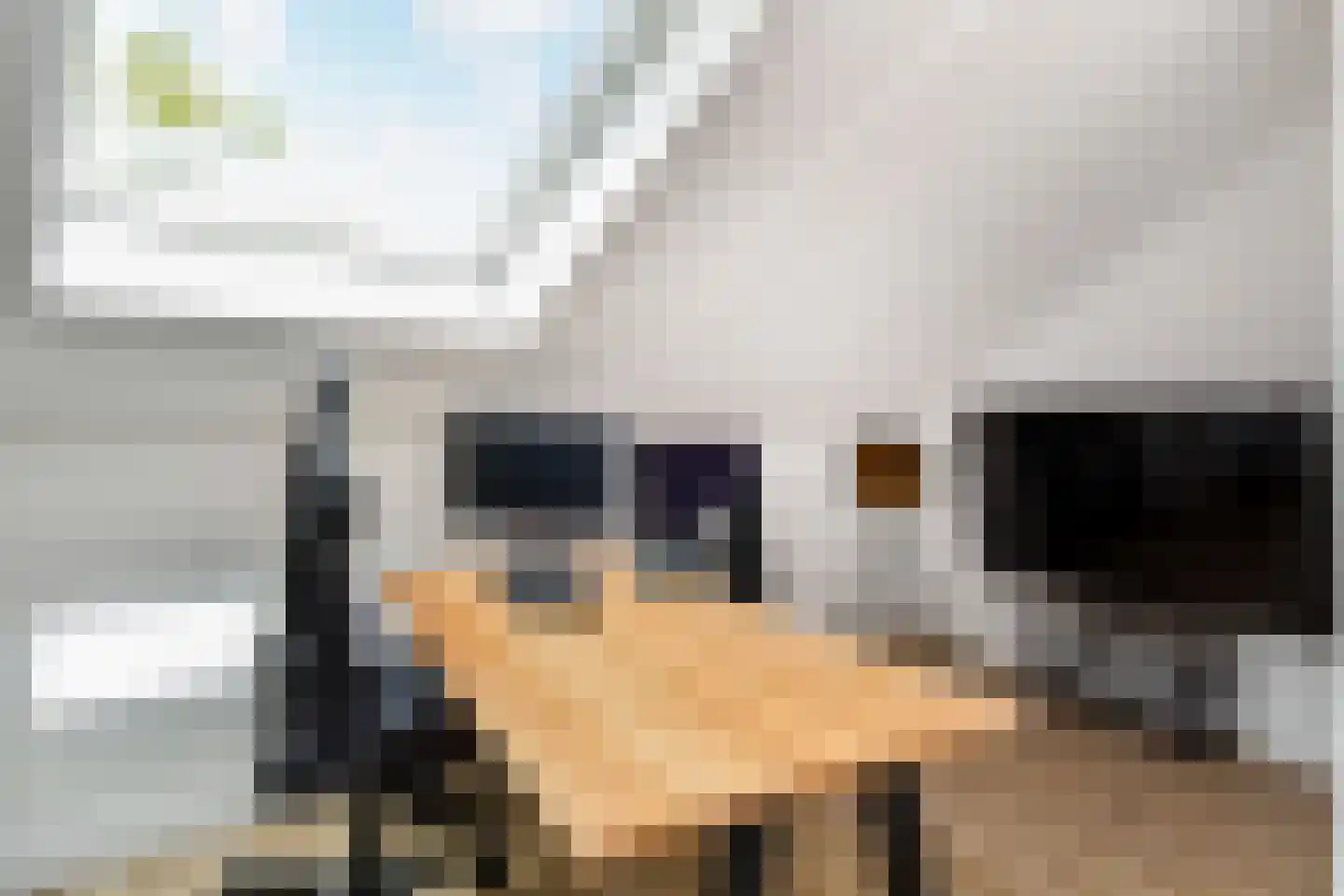 Zilvermeeuwlaan 15 Den Haag thumbnail 38