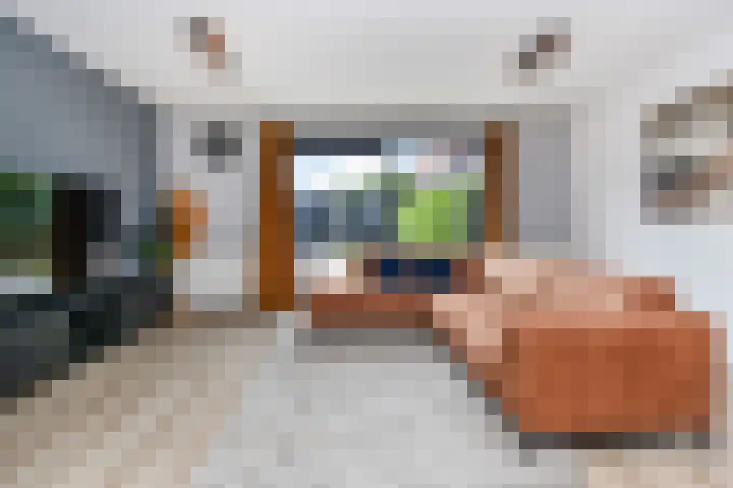 Zilvermeeuwlaan 15 Den Haag thumbnail 5
