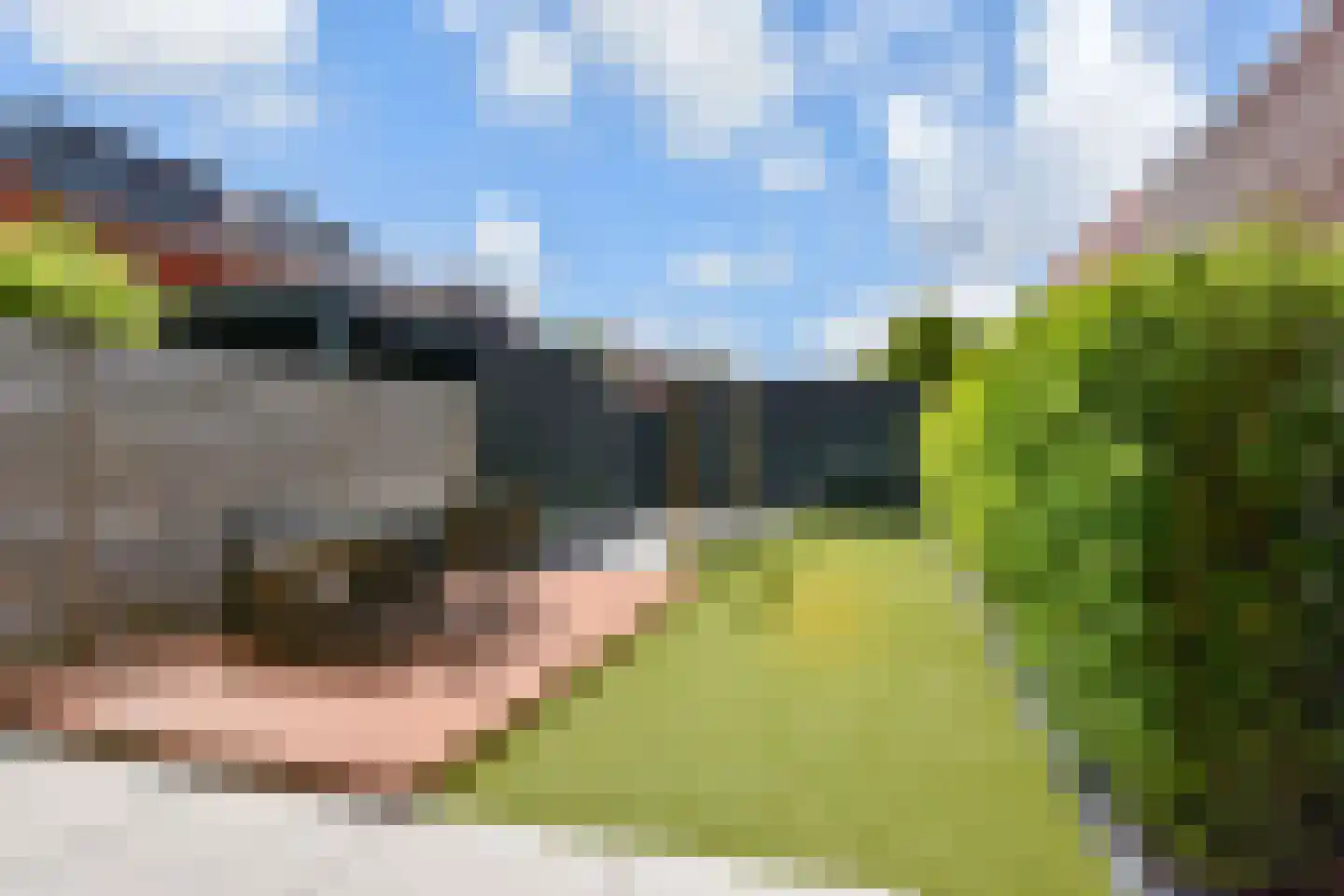 Zilvermeeuwlaan 15 Den Haag thumbnail 8