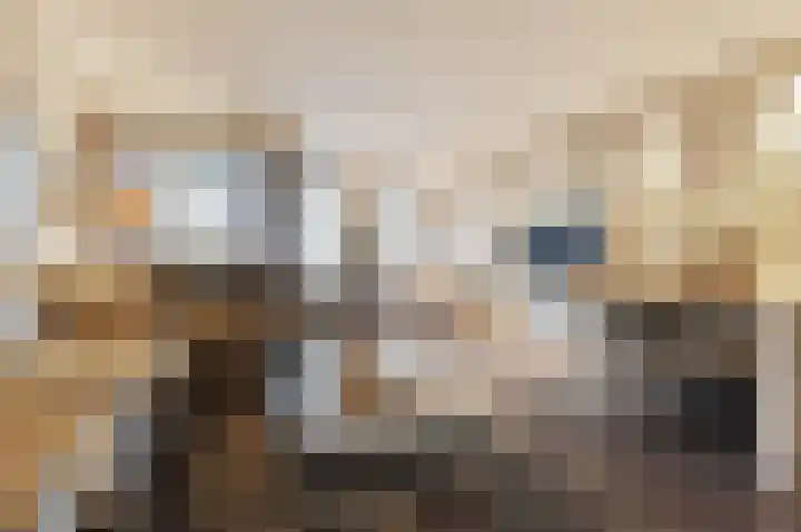 Zilvermeeuwlaan 16 Den Haag thumbnail 10
