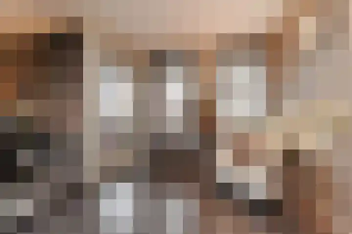 Zilvermeeuwlaan 16 Den Haag thumbnail 11