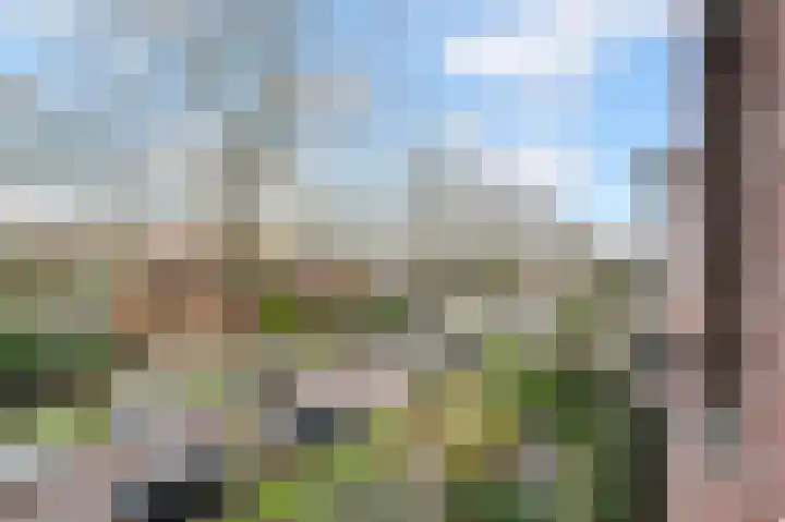 Zilvermeeuwlaan 16 Den Haag thumbnail 16