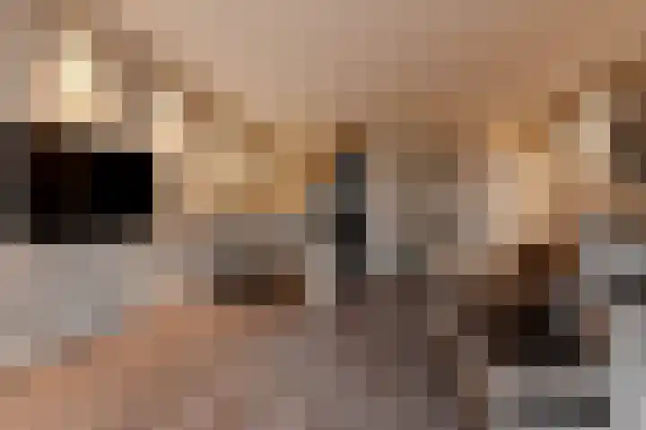 Zilvermeeuwlaan 16 Den Haag thumbnail 17