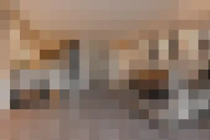 Zilvermeeuwlaan 16 Den Haag thumbnail 18