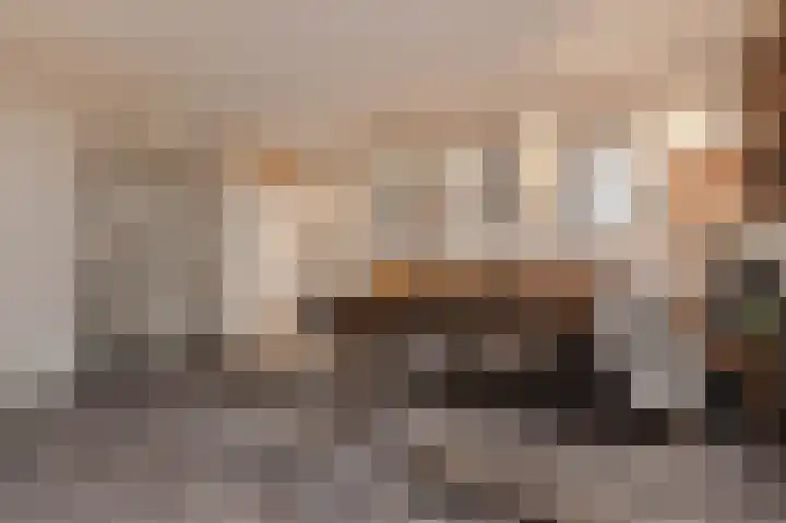 Zilvermeeuwlaan 16 Den Haag thumbnail 19