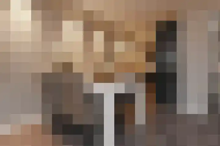 Zilvermeeuwlaan 16 Den Haag thumbnail 20