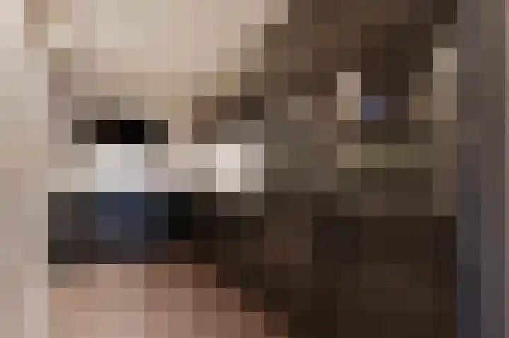 Zilvermeeuwlaan 16 Den Haag thumbnail 21