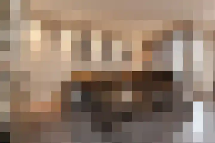 Zilvermeeuwlaan 16 Den Haag thumbnail 25
