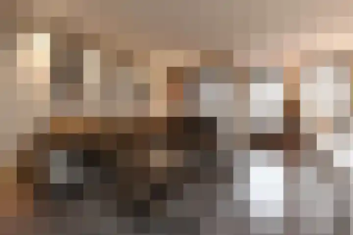 Zilvermeeuwlaan 16 Den Haag thumbnail 26