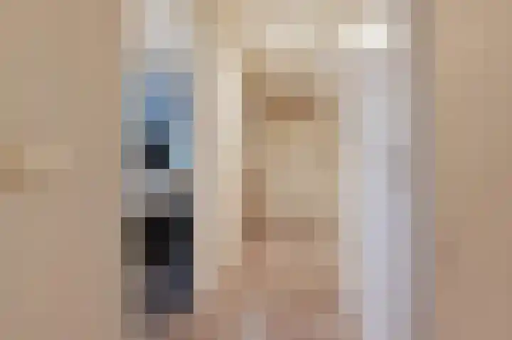 Zilvermeeuwlaan 16 Den Haag thumbnail 27