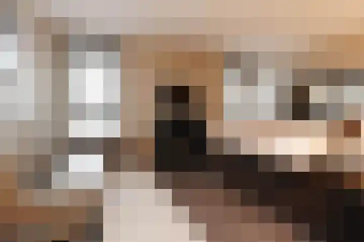 Zilvermeeuwlaan 16 Den Haag thumbnail 28