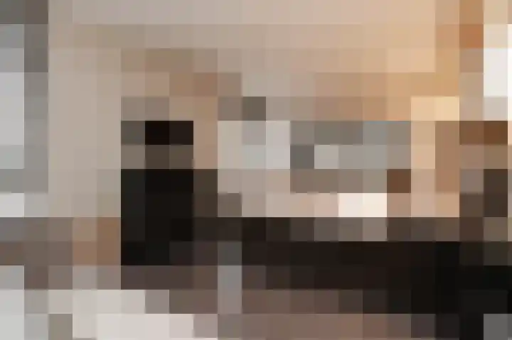 Zilvermeeuwlaan 16 Den Haag thumbnail 29