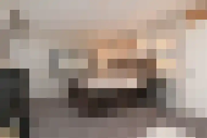 Zilvermeeuwlaan 16 Den Haag thumbnail 30