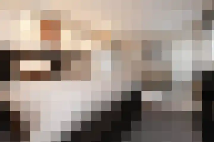 Zilvermeeuwlaan 16 Den Haag thumbnail 31