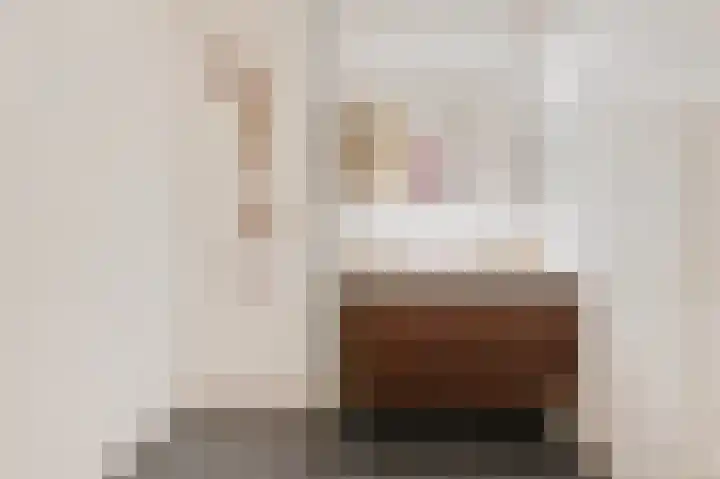Zilvermeeuwlaan 16 Den Haag thumbnail 32