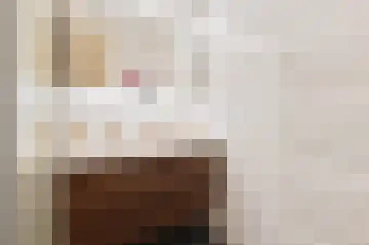 Zilvermeeuwlaan 16 Den Haag thumbnail 34