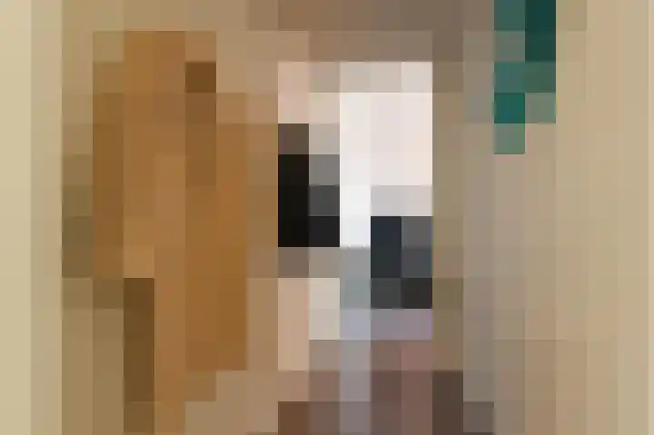 Zilvermeeuwlaan 16 Den Haag thumbnail 39