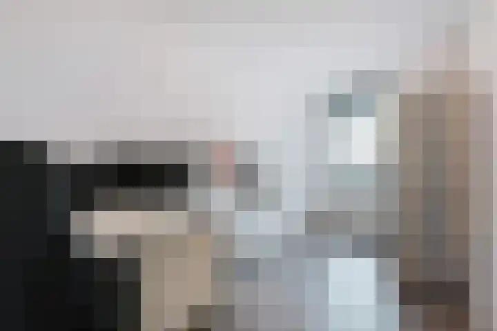 Zilvermeeuwlaan 16 Den Haag thumbnail 40