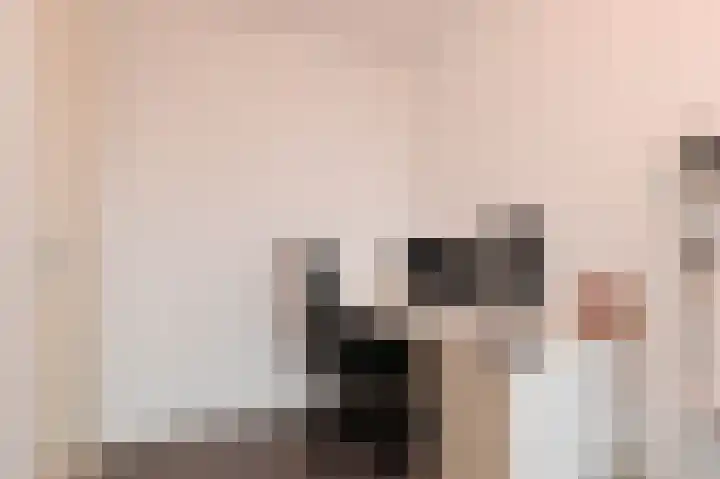 Zilvermeeuwlaan 16 Den Haag thumbnail 41