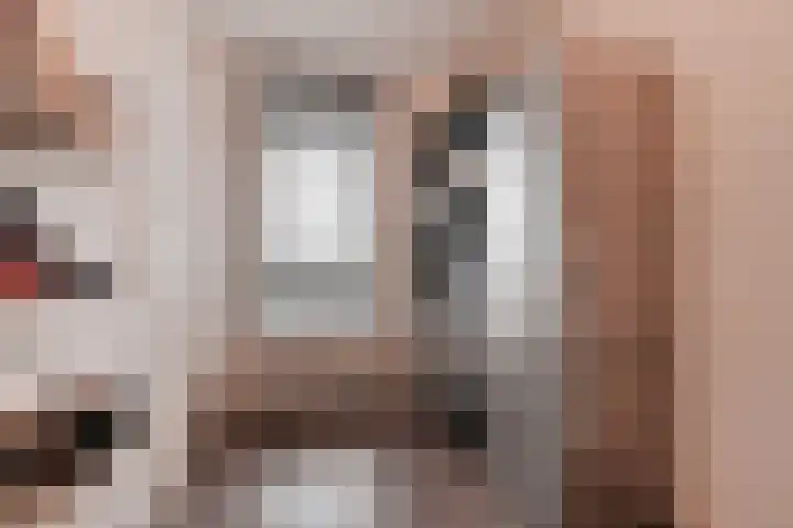 Zilvermeeuwlaan 16 Den Haag thumbnail 42