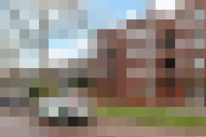 Zilvermeeuwlaan 16 Den Haag thumbnail 44