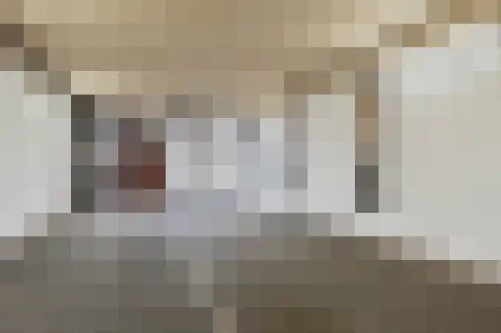 Zilvermeeuwlaan 16 Den Haag thumbnail 49
