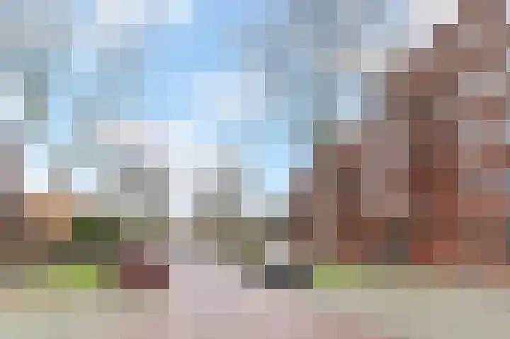 Zilvermeeuwlaan 16 Den Haag thumbnail 51