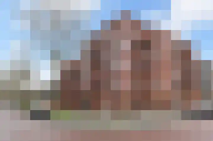 Zilvermeeuwlaan 16 Den Haag thumbnail 52