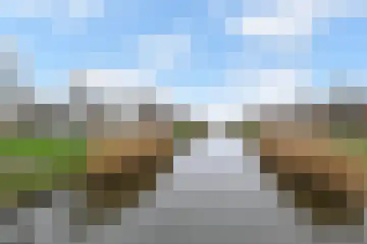 Zilvermeeuwlaan 16 Den Haag thumbnail 53