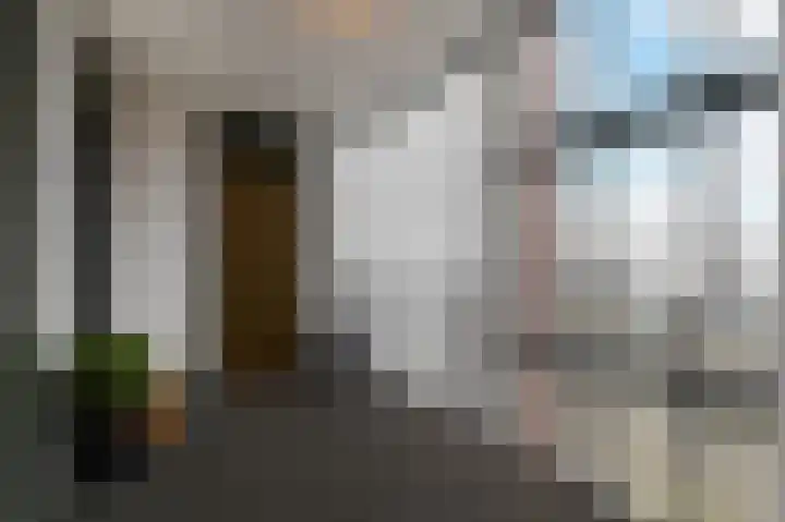Zilvermeeuwlaan 16 Den Haag thumbnail 6