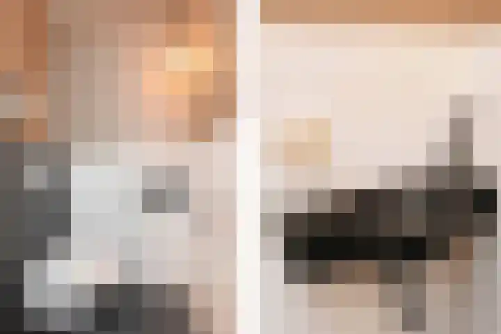 Zilvermeeuwlaan 16 Den Haag thumbnail 8