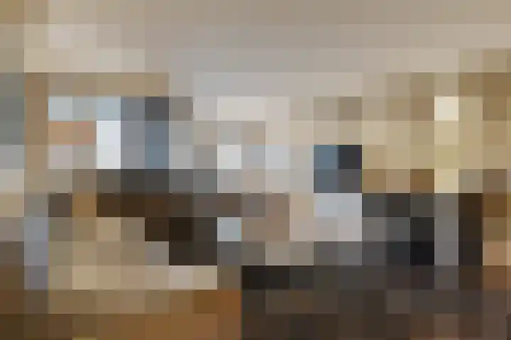 Zilvermeeuwlaan 16 Den Haag thumbnail 9