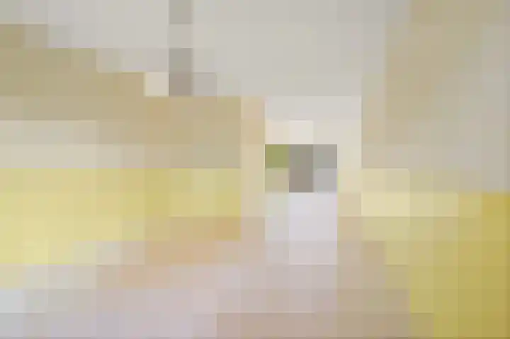 Zilvermeeuwlaan 38 Den Haag thumbnail 10