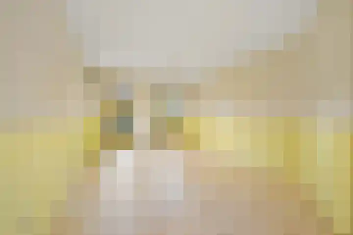 Zilvermeeuwlaan 38 Den Haag thumbnail 11
