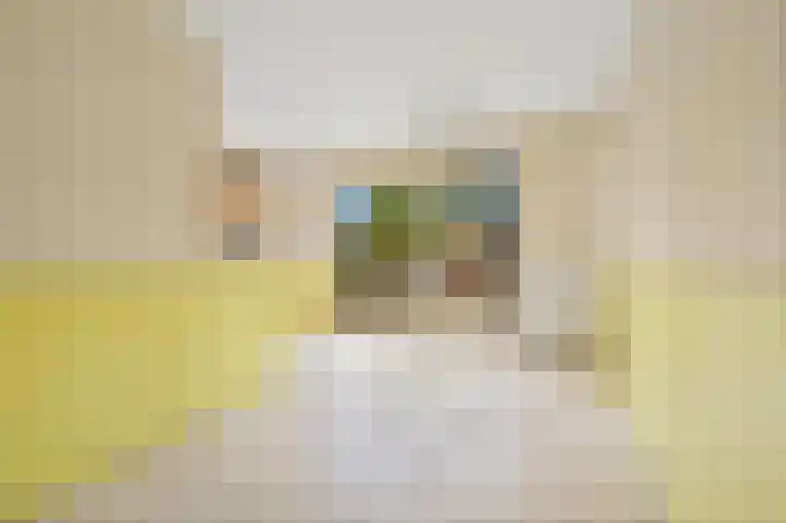 Zilvermeeuwlaan 38 Den Haag thumbnail 12