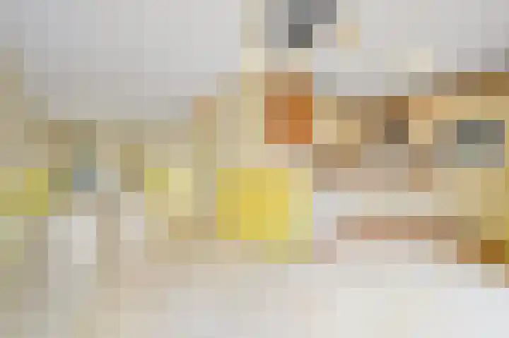 Zilvermeeuwlaan 38 Den Haag thumbnail 13
