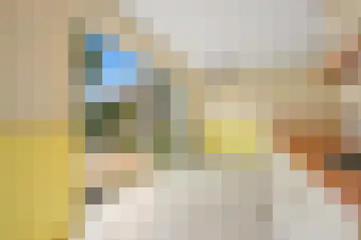 Zilvermeeuwlaan 38 Den Haag thumbnail 16