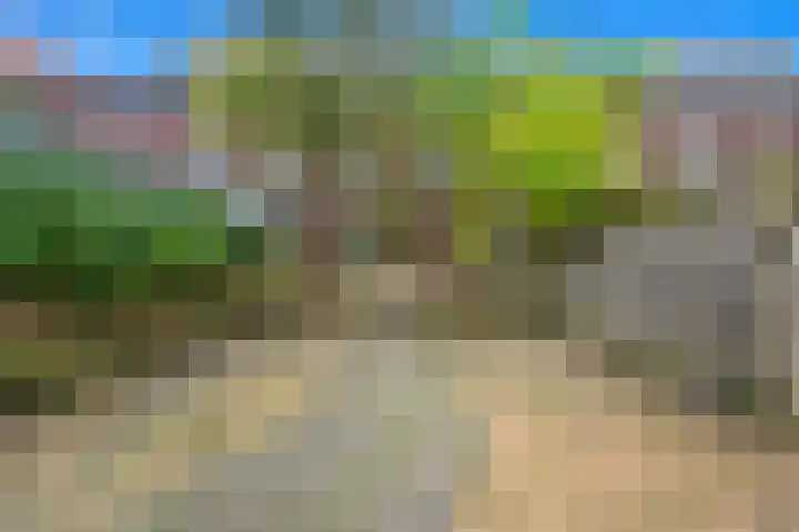 Zilvermeeuwlaan 38 Den Haag thumbnail 17
